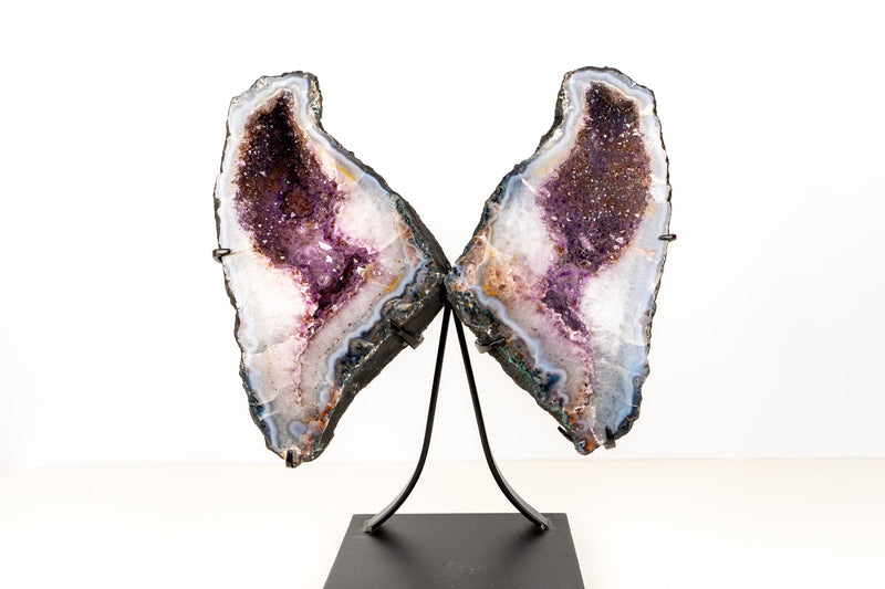 Natural Agate with Amethyst Butterfly Geode Wings – Gorgeous Lavender Amethyst with Golden Goethite Inclusions - 33.5 lb - E2D Crystals & Minerals