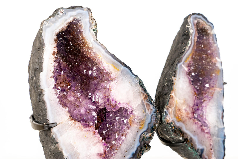 Natural Agate with Amethyst Butterfly Geode Wings – Gorgeous Lavender Amethyst with Golden Goethite Inclusions - 33.5 lb - E2D Crystals & Minerals