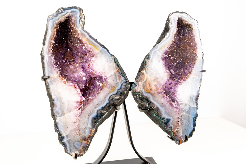 Natural Agate with Amethyst Butterfly Geode Wings – Gorgeous Lavender Amethyst with Golden Goethite Inclusions - 33.5 lb - E2D Crystals & Minerals