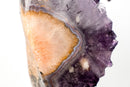 AAA - Grade Amethyst Geode Portal – Large Deep Purple Crystals on Custom - Made Stand, Collector’s Display Piece - 29 Lb. - E2D Crystals & Minerals