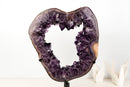 AAA - Grade Amethyst Geode Portal – Large Deep Purple Crystals on Custom - Made Stand, Collector’s Display Piece - 29 Lb. - E2D Crystals & Minerals