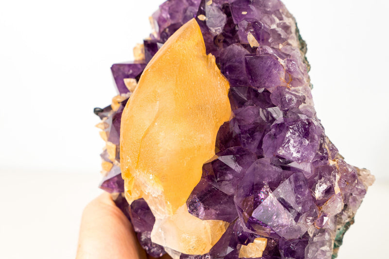 Rare Golden Yellow Calcite Specimen on Deep Purple Amethyst Cluster – Collector's Gemmy Golden Calcite - 4.0 Kg - 8.7 lb - E2D Crystals & Minerals