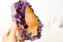 Rare Golden Yellow Calcite Specimen on Deep Purple Amethyst Cluster – Collector's Gemmy Golden Calcite - 4.0 Kg - 8.7 lb - E2D Crystals & Minerals