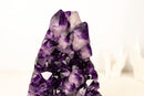 Sculptural AAA Amethyst Cluster with Large Druzy Crystals – Grape Jelly Purple - 5.6 Kg - 12.2 lb - E2D Crystals & Minerals