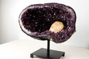 Spectacular Large Amethyst Geode Cave with Deep Purple Druzy and XL Calcite Crystal Inclusion – Statement Geode from Brazil 9.4 Kg 21 lb - E2D Crystals & Minerals