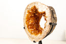 Natural Citrine Geode Portal with Flower Stalactites – High - Grade Orange Citrine on Custom Stand - 7.3 Kg - 16.1 lb - E2D Crystals & Minerals