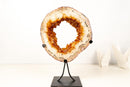 Natural Citrine Geode Portal – High - Grade Golden - Orange Citrine on Custom Stand - 7.3 Kg - 16.1 lb - E2D Crystals & Minerals