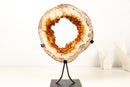 Natural Citrine Geode Portal – High - Grade Golden - Orange Citrine on Custom Stand - 7.3 Kg - 16.1 lb - E2D Crystals & Minerals