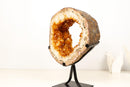 Natural Citrine Geode Portal – High - Grade Golden - Orange Citrine on Custom Stand - 7.3 Kg - 16.1 lb - E2D Crystals & Minerals
