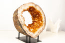 Natural Citrine Geode Portal with Flower Rosettes – High - Grade Orange Citrine on Custom Stand - 7.9 Kg - 17.4 lb - E2D Crystals & Minerals