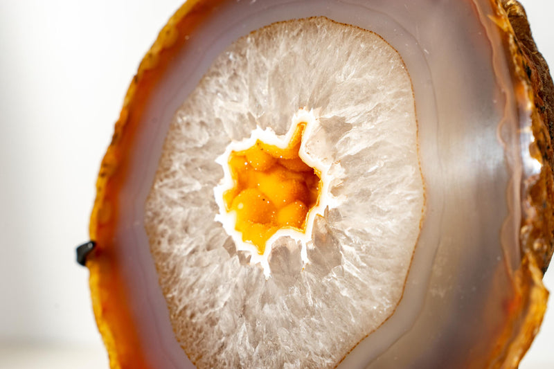 Rare Yellow Lace Agate Geode with Golden Galaxy Druzy – 100% Natural Collector’s Specimen from Brazil - 6.5 Lb. - E2D Crystals & Minerals