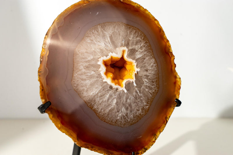 Rare Yellow Lace Agate Geode with Golden Galaxy Druzy – 100% Natural Collector’s Specimen from Brazil - 6.5 Lb. - E2D Crystals & Minerals