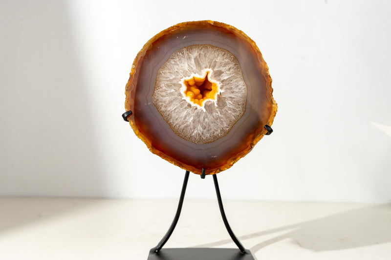 Rare Yellow Lace Agate Geode with Golden Galaxy Druzy – 100% Natural Collector’s Specimen from Brazil - 6.5 Lb. - E2D Crystals & Minerals