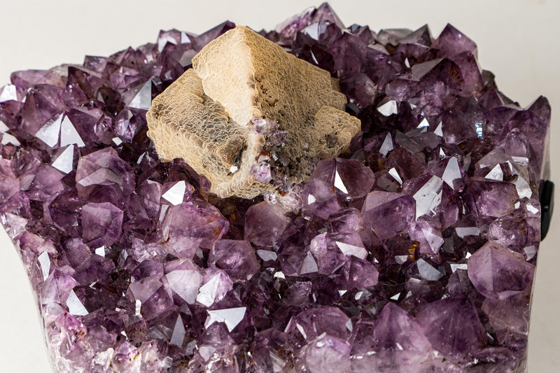 Rare Cubic Calcite with Green Sugar Druzy (Celadonite) on Amethyst Cluster (20 lb) – Large Cabinet Specimen - E2D Crystals & Minerals
