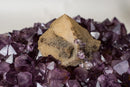 Rare Cubic Calcite with Green Sugar Druzy (Celadonite) on Amethyst Cluster (20 lb) – Large Cabinet Specimen - E2D Crystals & Minerals