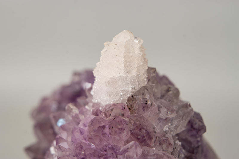 The Unicorn – Rare Amethyst Flower with Calcite Crystal Inclusion | Natural & Ethical - 3 Lb. - E2D Crystals & Minerals