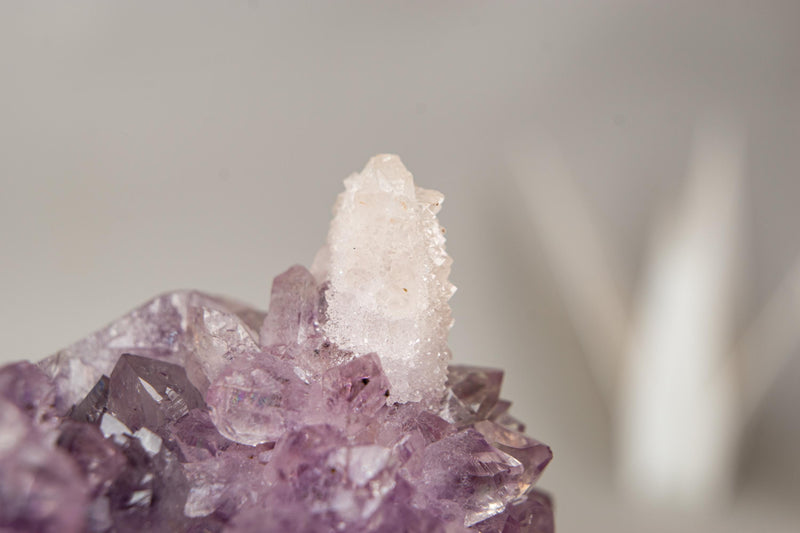 The Unicorn – Rare Amethyst Flower with Calcite Crystal Inclusion | Natural & Ethical - 3 Lb. - E2D Crystals & Minerals
