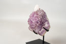 The Unicorn – Rare Amethyst Flower with Calcite Crystal Inclusion | Natural & Ethical - 3 Lb. - E2D Crystals & Minerals