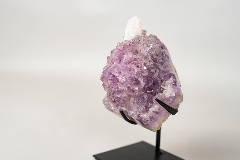 The Unicorn – Rare Amethyst Flower with Calcite Crystal Inclusion | Natural & Ethical - 3 Lb. - E2D Crystals & Minerals