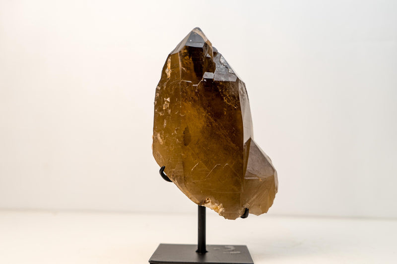 Spectacular All - Natural Elestial Citrine Crystal – Genuine Deep Amber Quartz from Brazil, Collector - Grade Mineral Specimen - 8.2 Lb. 10 In. - E2D Crystals & Minerals