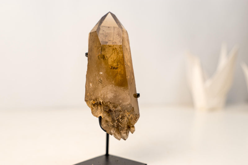 Small Genuine Natural Citrine Crystal – Bi - Terminated Water - Clear Honey - Orange Quartz Specimen - 785g - 1.7 lb - E2D Crystals & Minerals