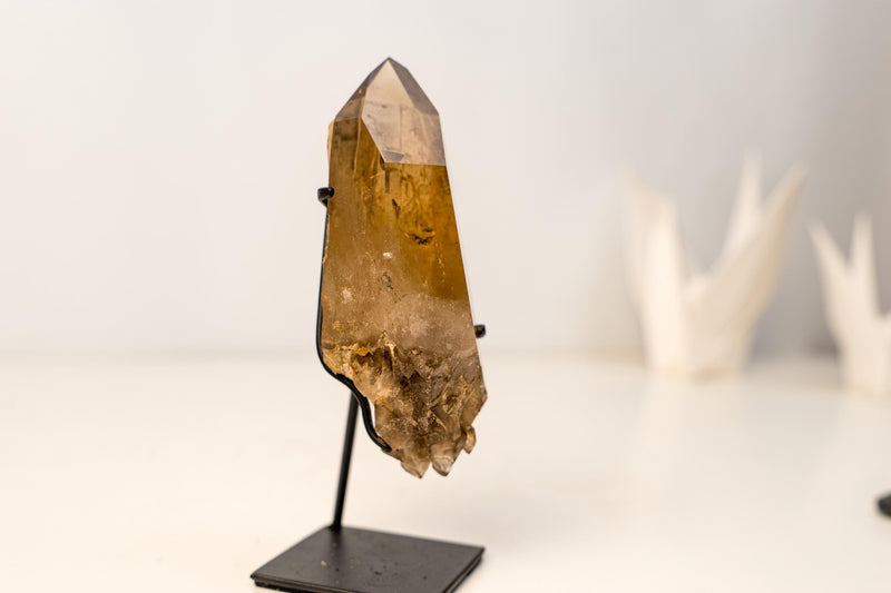 Small Genuine Natural Citrine Crystal – Bi - Terminated Water - Clear Honey - Orange Quartz Specimen - 785g - 1.7 lb - E2D Crystals & Minerals