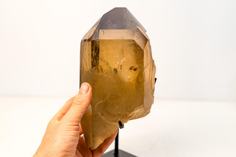 Genuine Citrine Quartz Crystal – Water - Clear Honey - Orange from Araçuaí, Brazil - 3.1 Kg - 6.8 lb - E2D Crystals & Minerals