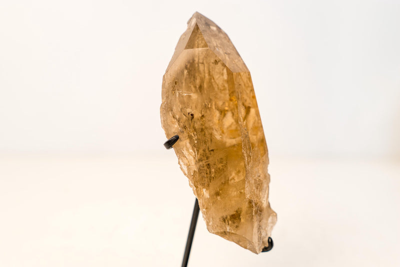 Small Genuine Natural Citrine Crystal – Water - Clear Honey - Orange Quartz Specimen From Brazil - 630g - 1.4 lb - E2D Crystals & Minerals