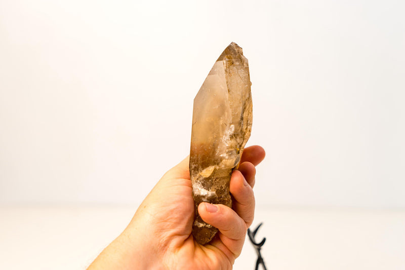 Small Genuine Natural Citrine Crystal – Water - Clear Honey - Orange Quartz Specimen From Brazil - 630g - 1.4 lb - E2D Crystals & Minerals