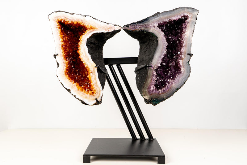 Citrine & Amethyst Geode Wings – Natural Bookmatched Pair on Custom Metal Stand - Ethically Sourced, 49 Lb. - E2D Crystals & Minerals