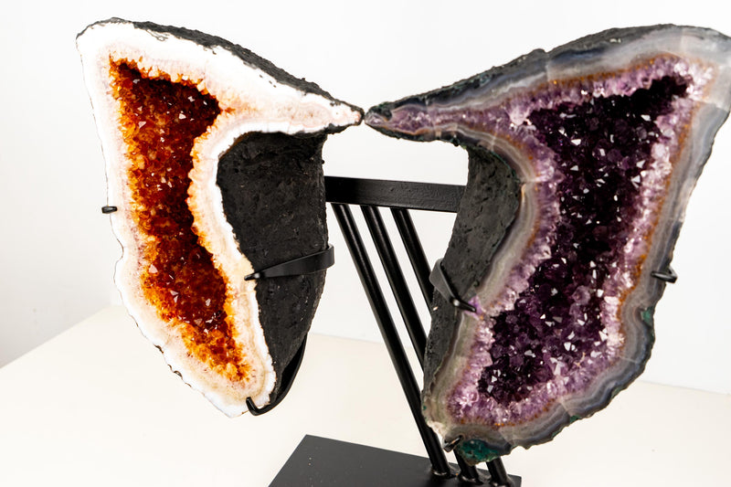 Citrine & Amethyst Geode Wings – Natural Bookmatched Pair on Custom Metal Stand - Ethically Sourced, 49 Lb. - E2D Crystals & Minerals
