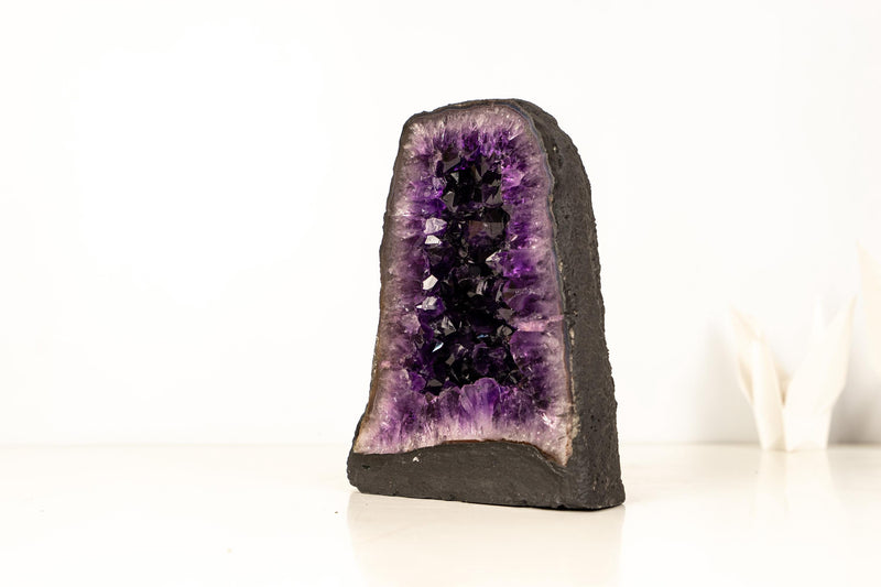 AAA - Grade Amethyst Geode with Deep Purple Druzy Crystals – Natural Small Amethyst, 5.3 kg / 11.7 lb - E2D Crystals & Minerals