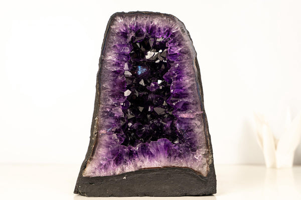 AAA - Grade Amethyst Geode with Deep Purple Druzy Crystals – Natural Small Amethyst, 5.3 kg / 11.7 lb - E2D Crystals & Minerals