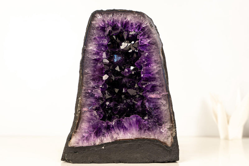 AAA - Grade Amethyst Geode with Deep Purple Druzy Crystals – Natural Small Amethyst, 5.3 kg / 11.7 lb - E2D Crystals & Minerals