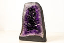 AAA - Grade Amethyst Geode with Deep Purple Druzy Crystals – Natural Small Amethyst, 5.3 kg / 11.7 lb - E2D Crystals & Minerals