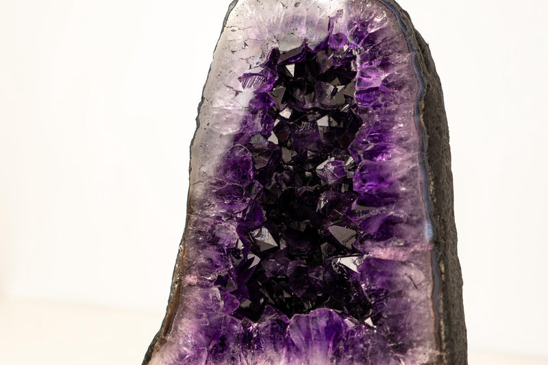 AAA - Grade Amethyst Geode with Deep Purple Druzy Crystals – Natural Small Amethyst, 5.3 kg / 11.7 lb - E2D Crystals & Minerals