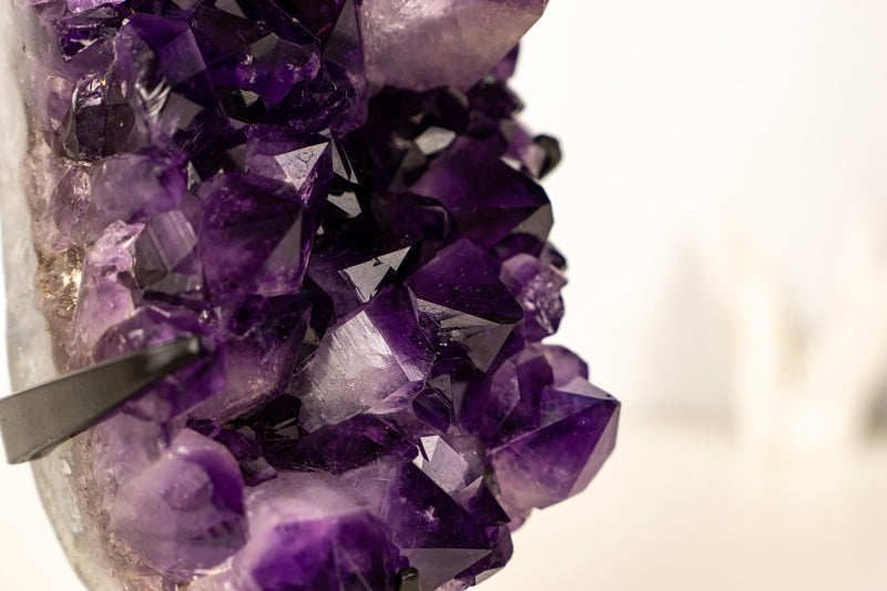 Gallery - Grade Amethyst Cluster with Large Terminated Point – AAA Grape Jelly Amethyst from Brazil, 5 lb. - E2D Crystals & Minerals