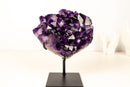 Gallery - Grade Grape Jelly Amethyst Cluster – AAA Quality with Flawless Deep Purple Crystal Points - 8 Lb. 13 In. - E2D Crystals & Minerals