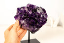 Gallery - Grade Grape Jelly Amethyst Cluster – AAA Quality with Flawless Deep Purple Crystal Points - 8 Lb. 13 In. - E2D Crystals & Minerals
