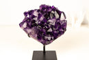 Gallery - Grade Grape Jelly Amethyst Cluster – AAA Quality with Flawless Deep Purple Crystal Points - 8 Lb. 13 In. - E2D Crystals & Minerals