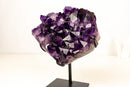 Gallery - Grade Grape Jelly Amethyst Cluster – AAA Quality with Flawless Deep Purple Crystal Points - 8 Lb. 13 In. - E2D Crystals & Minerals