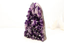 Sculptural AAA Amethyst Cluster with Large Druzy Crystals – Grape Jelly Purple - 5.6 Kg - 12.2 lb - E2D Crystals & Minerals