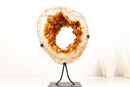 Natural Citrine Geode Portal with Flower Stalactites – High - Grade Orange Citrine on Custom Stand - 7.3 Kg - 16.1 lb - E2D Crystals & Minerals