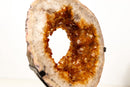 Natural Citrine Geode Portal with Flower Stalactites – High - Grade Orange Citrine on Custom Stand - 7.3 Kg - 16.1 lb - E2D Crystals & Minerals