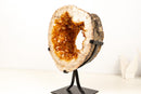 Natural Citrine Geode Portal with Flower Stalactites – High - Grade Orange Citrine on Custom Stand - 7.3 Kg - 16.1 lb - E2D Crystals & Minerals
