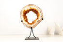 Natural Citrine Geode Portal – High - Grade Golden - Orange Citrine on Custom Stand - 7.3 Kg - 16.1 lb - E2D Crystals & Minerals
