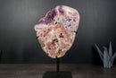 Pink Amethyst Geode on Stand with Natural Purple Amethyst Druzy - E2D Crystals & Minerals