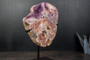 Pink Amethyst Geode on Stand with Natural Purple Amethyst Druzy - E2D Crystals & Minerals