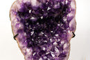 Deep Purple Amethyst Geode Cave on Custom Stand - E2D Crystals & Minerals