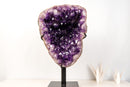 Deep Purple Amethyst Geode Cave on Custom Stand - E2D Crystals & Minerals